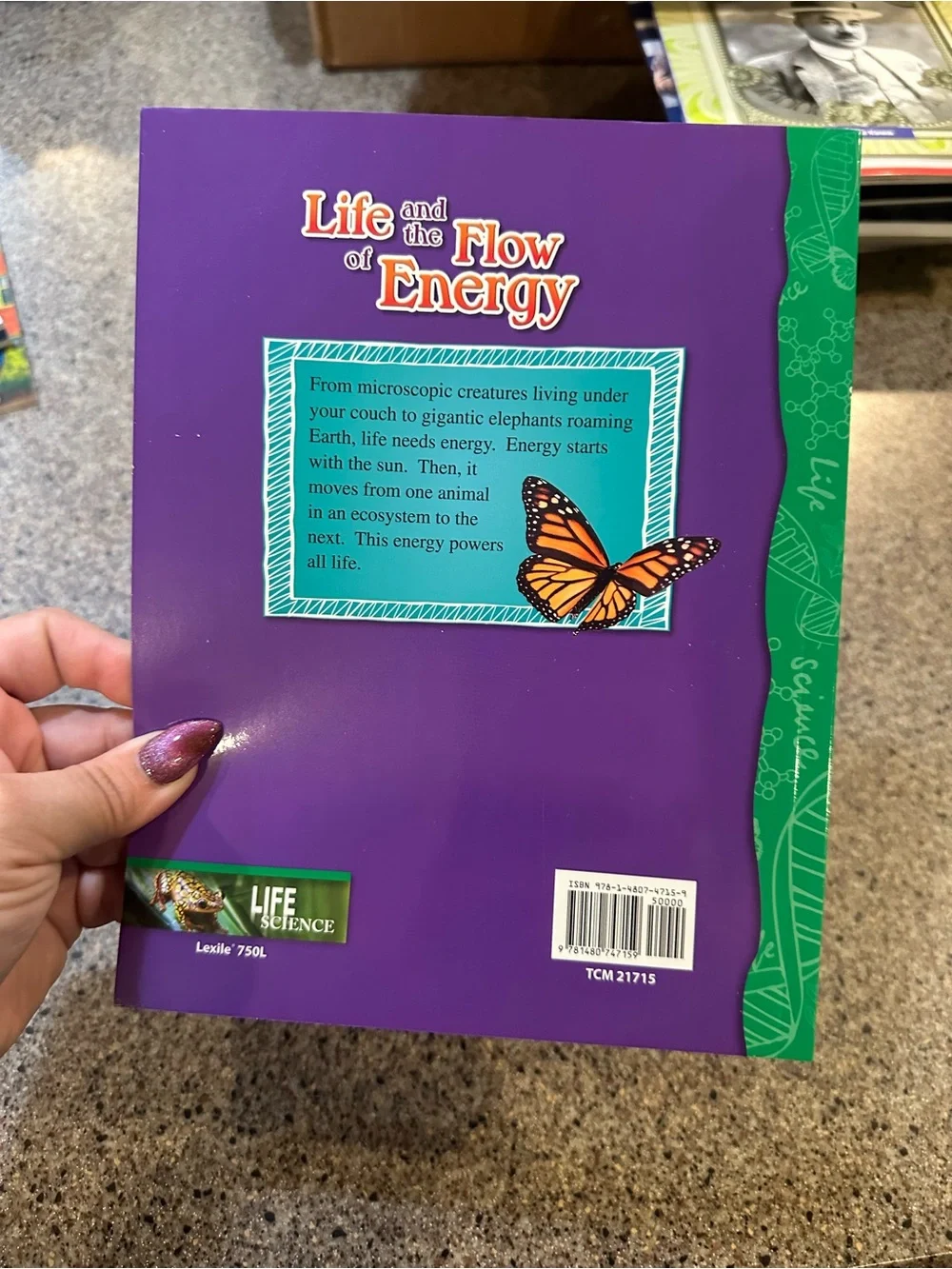 Life and the Flow of Energy - Brown Small Pets Educational Book